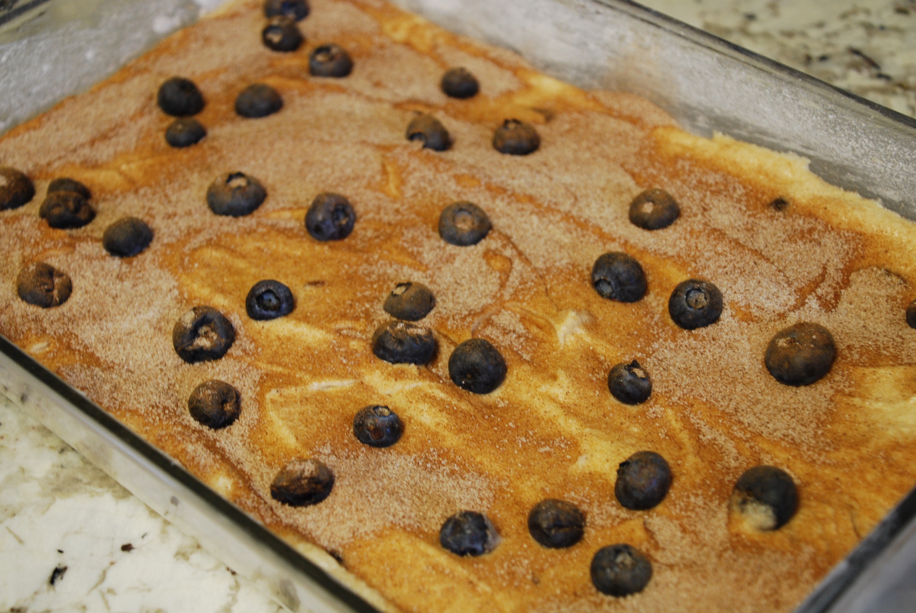 Blueberry Snack Cake from www.PieLadyLife.com